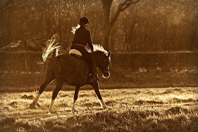 The Benefits of Horseback Riding