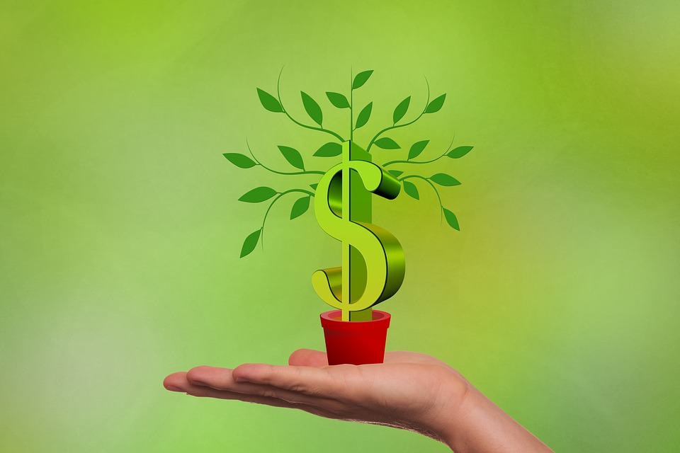 Why Going Green Makes Perfect Business Sense